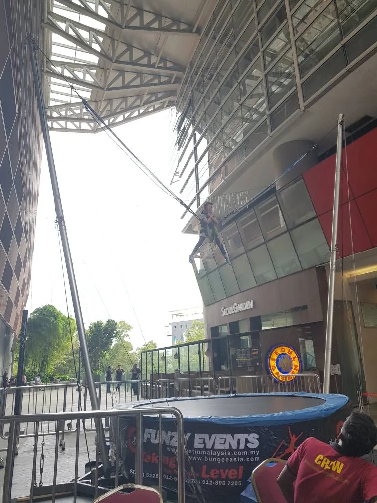 Mini Bungee Trampoline — Gallery Photo 5